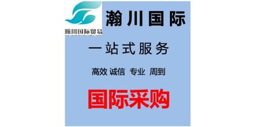 湖北進出口代理辦理與數據處理服務詳解